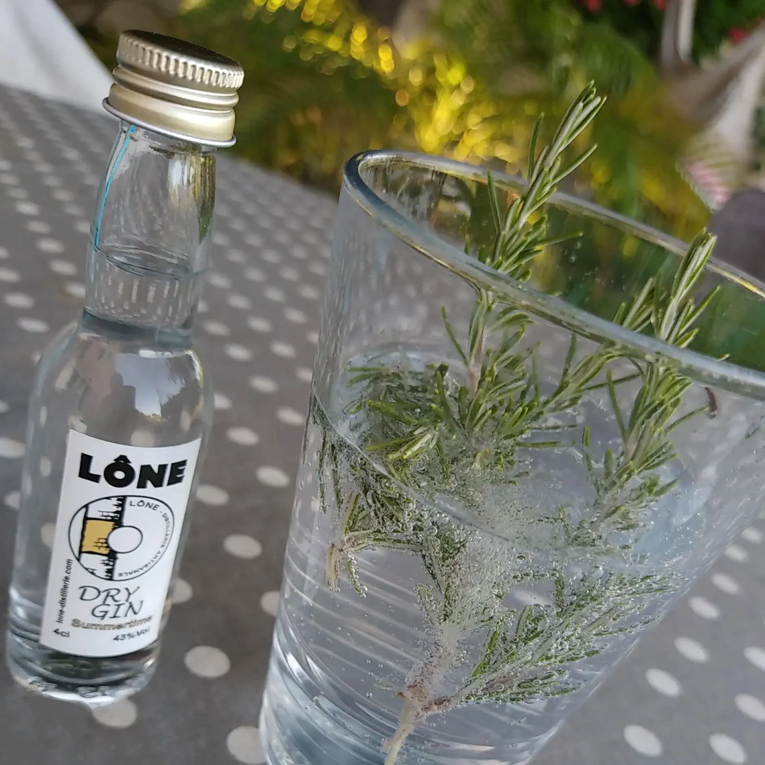 Gin et poisson : les meilleures associations à découvrir absolument