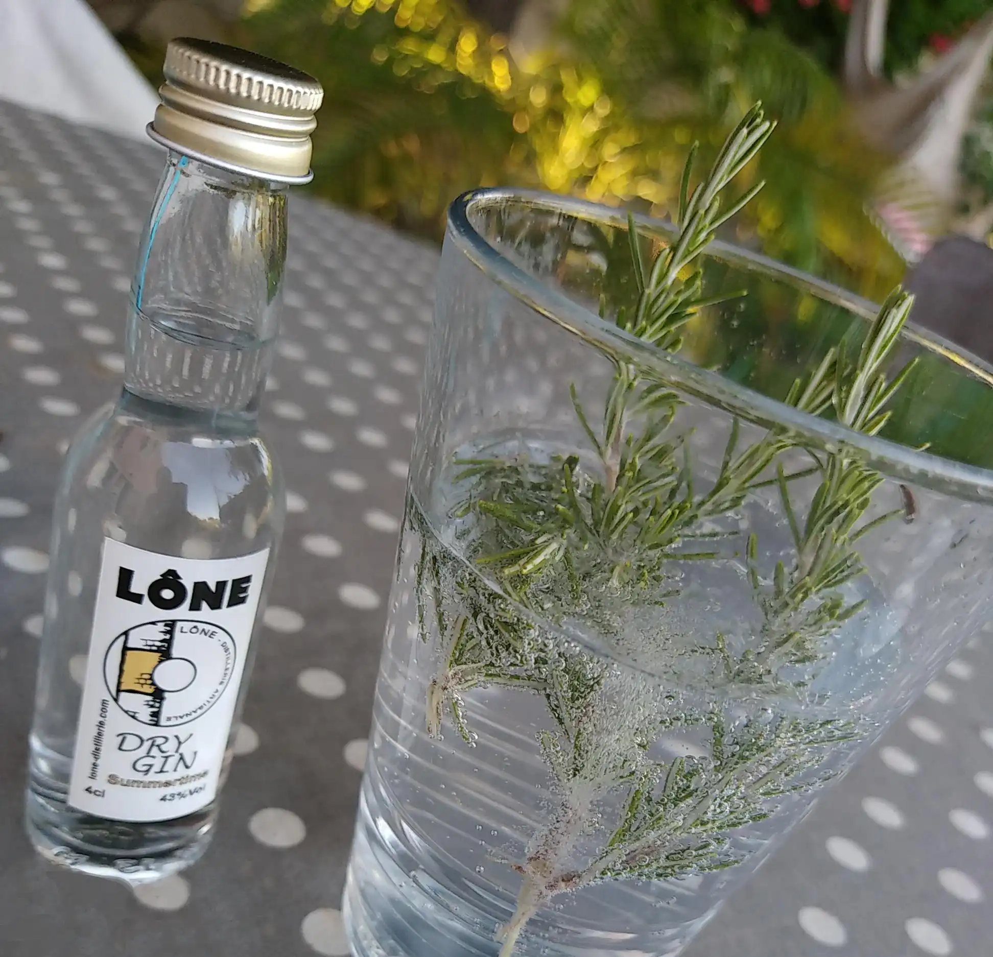 Image verre et genievre