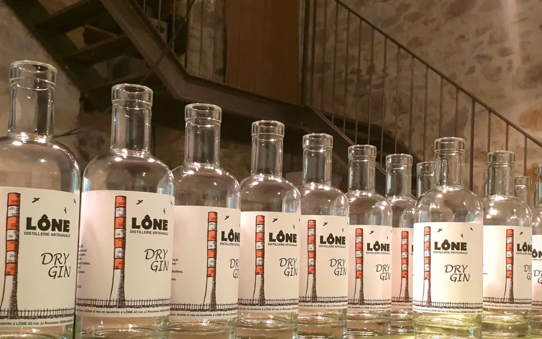 Bouteilles de gin en rangée dans une cave ou bar, étiquettes lisibles indiquant « LØNE Dry Gin », ambiance chaleureuse et rustique. Gin degré alcool évoqué par les bouteilles alignées.